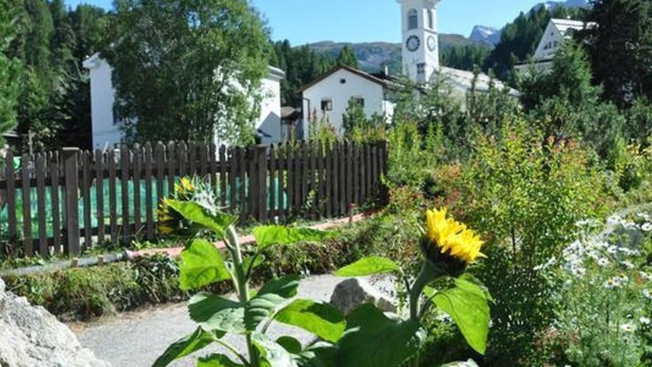 Photo of Outdoor in Sils-Maria