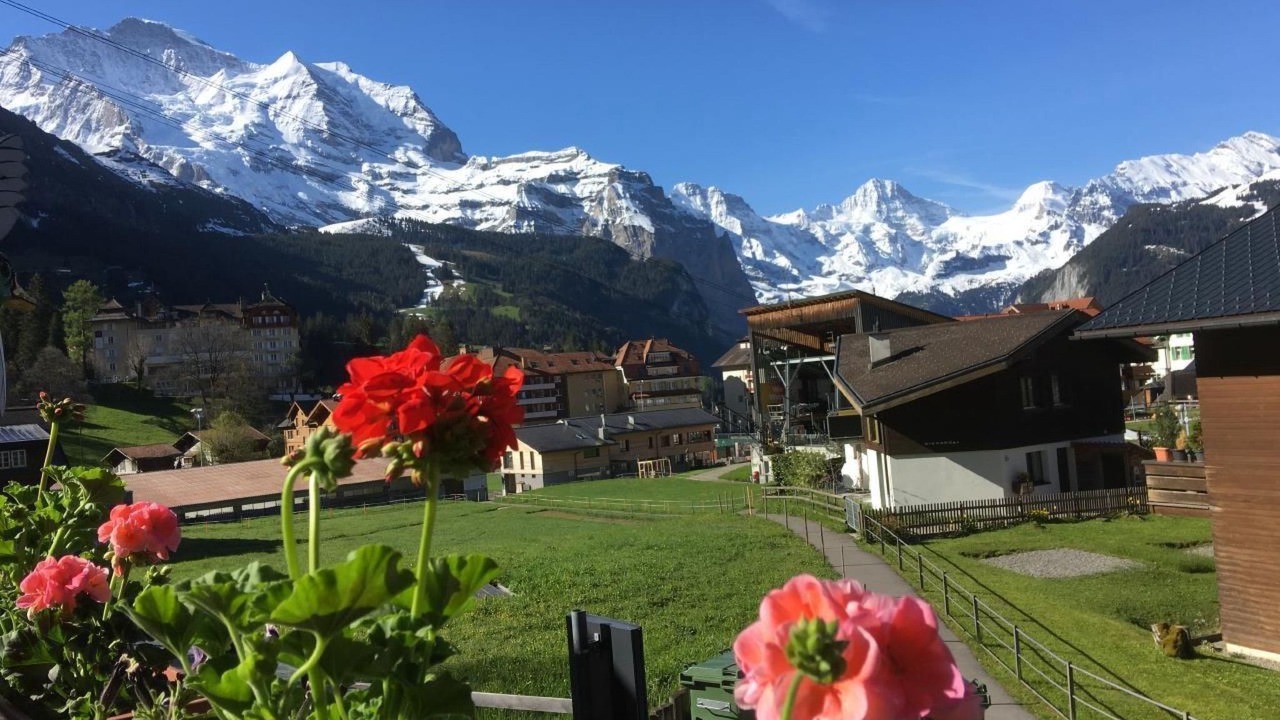 Photo of Others in Wengen