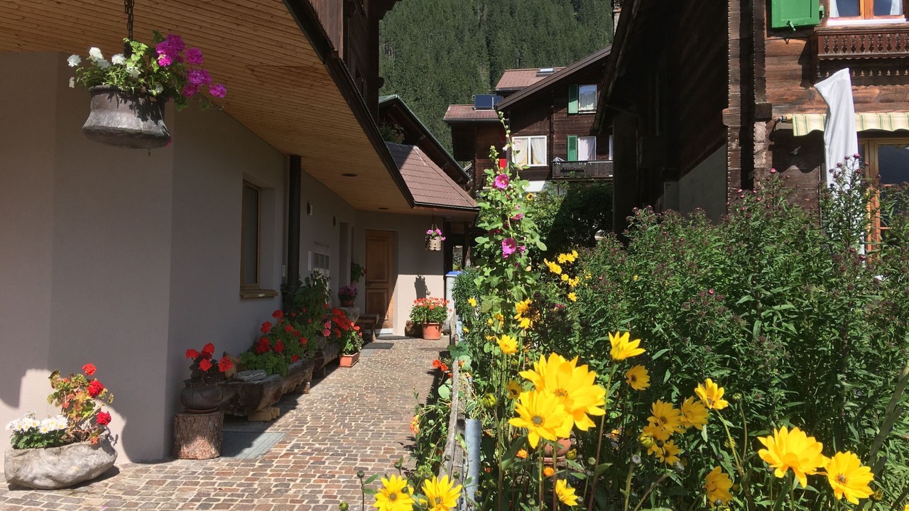 Photo of Others in Wengen
