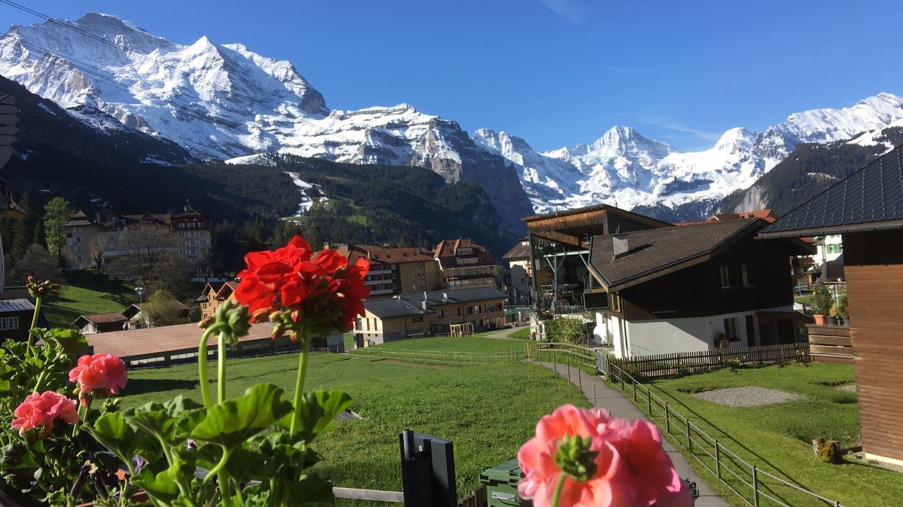 Photo of Others in Wengen