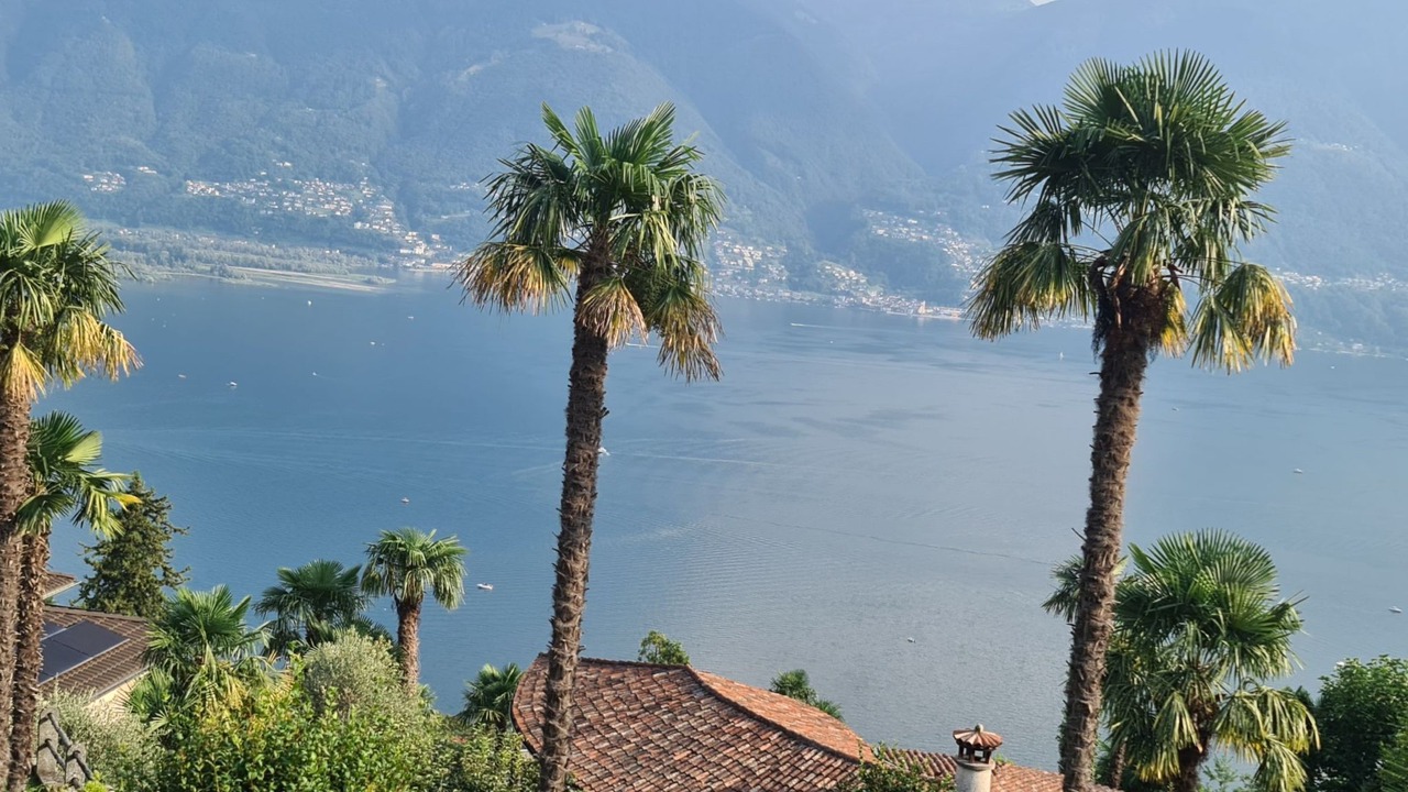 Photo of Others in Minusio