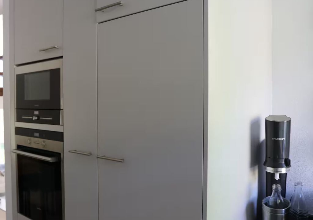 Photo of Kitchen in Minusio