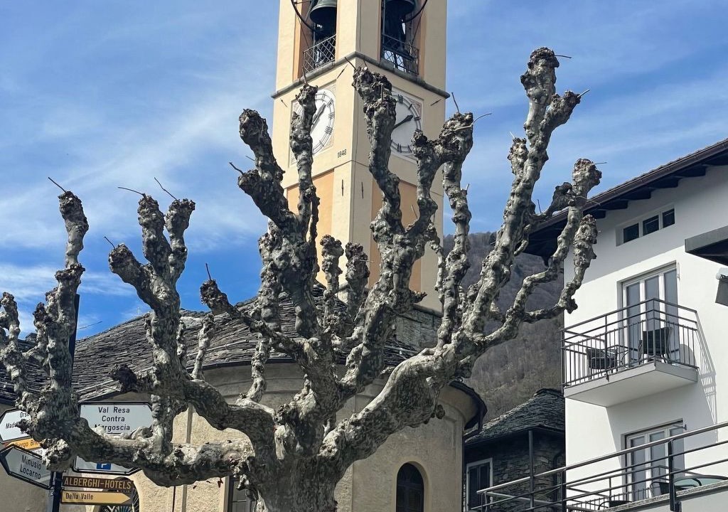 Photo of Others in Brione sopra Minusio