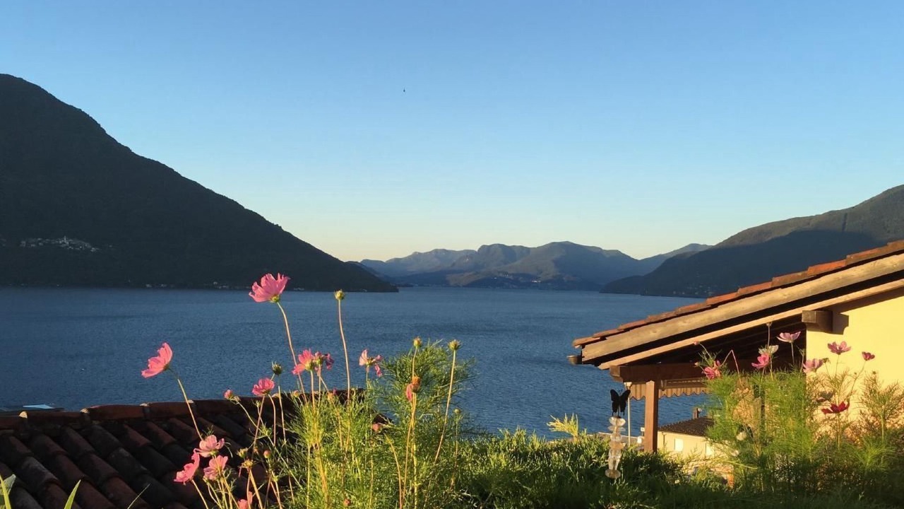 Photo of Others in Brissago