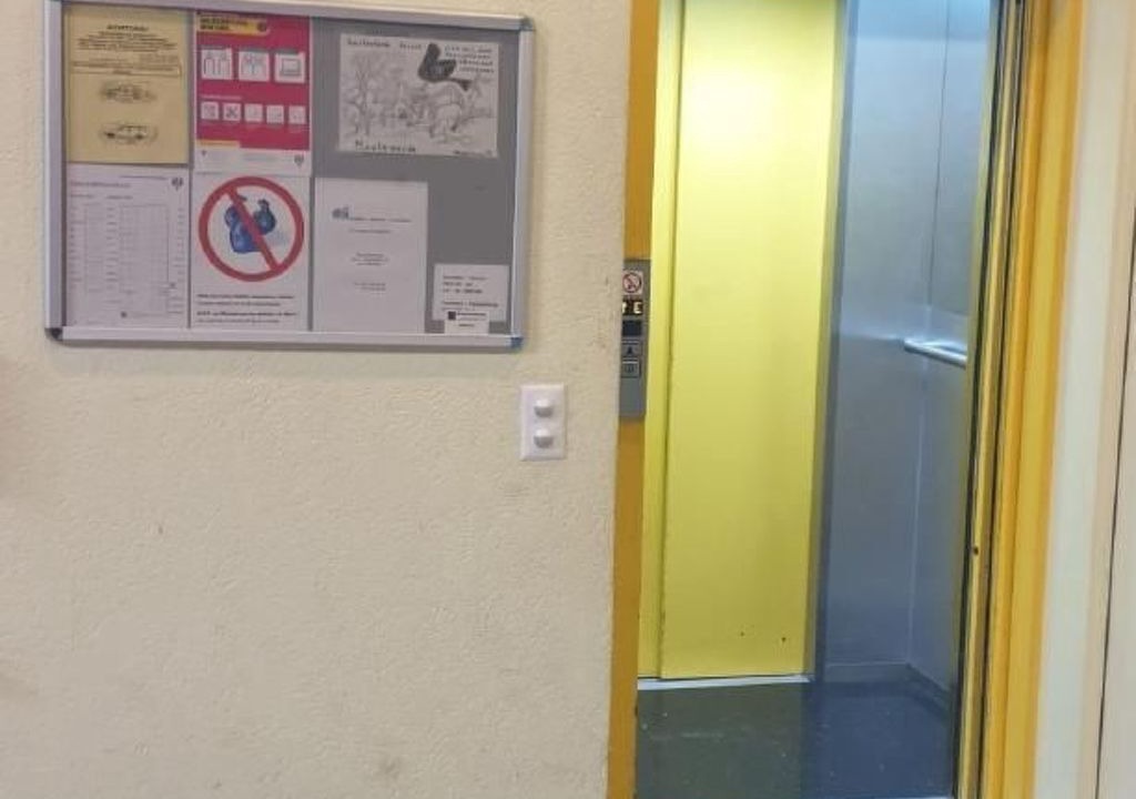 Photo of Others in Brissago