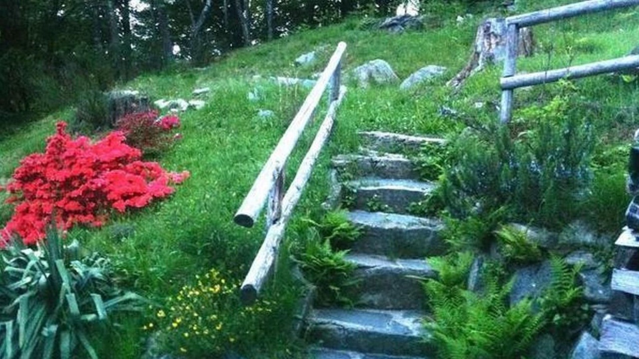 Photo of Others in Locarno