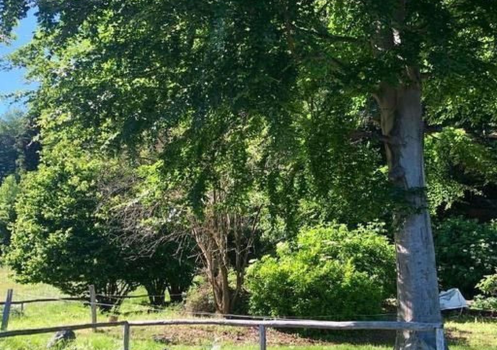 Photo of Others in Locarno