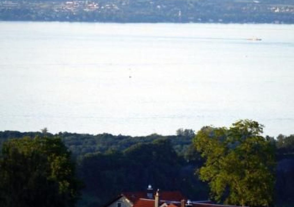 Photo of Others in Wolfhalden