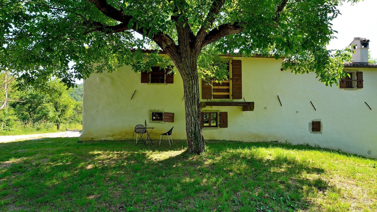 Photo of Outdoor in Kotli