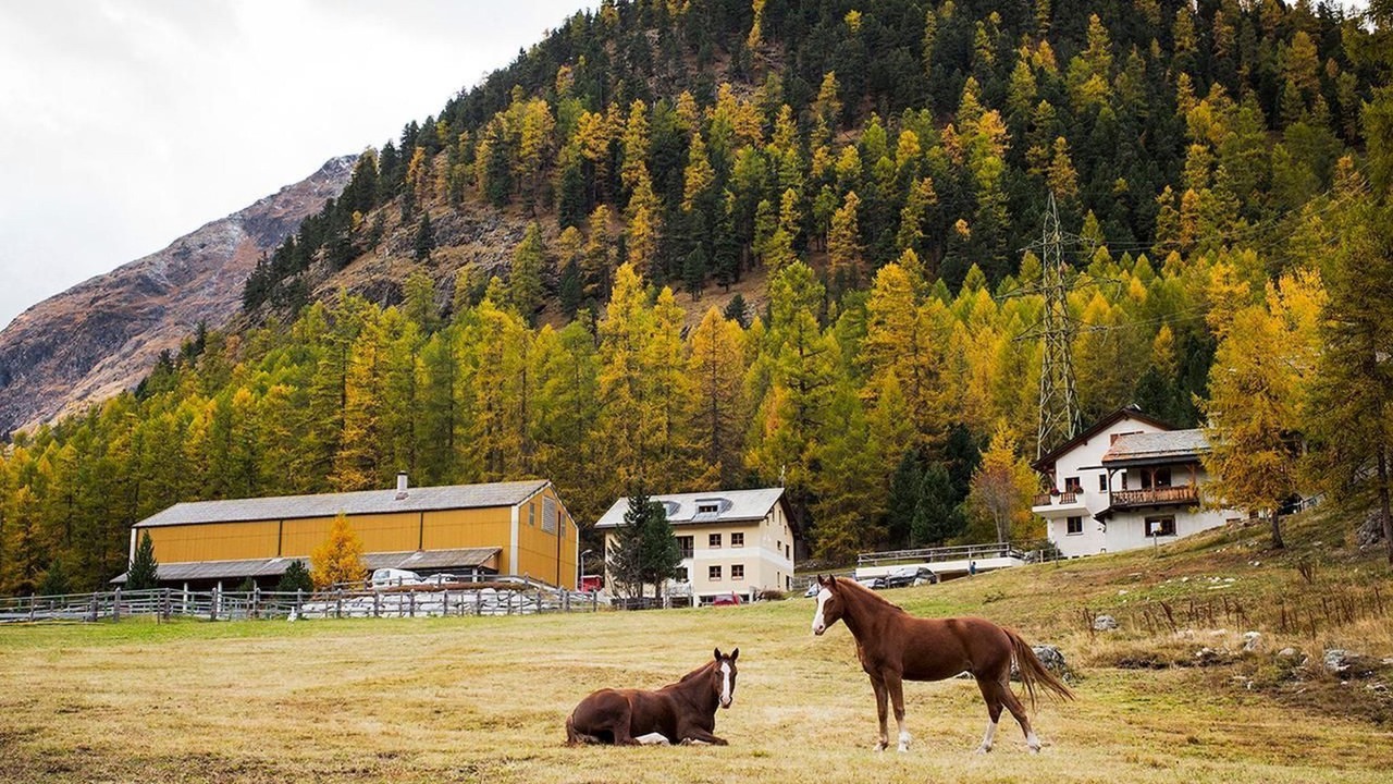 Photo of Others in Pontresina