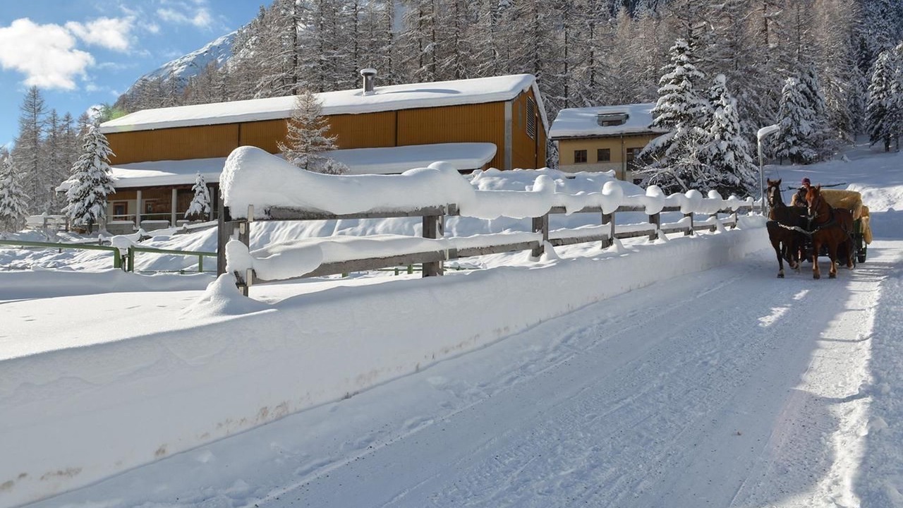 Photo of Others in Pontresina