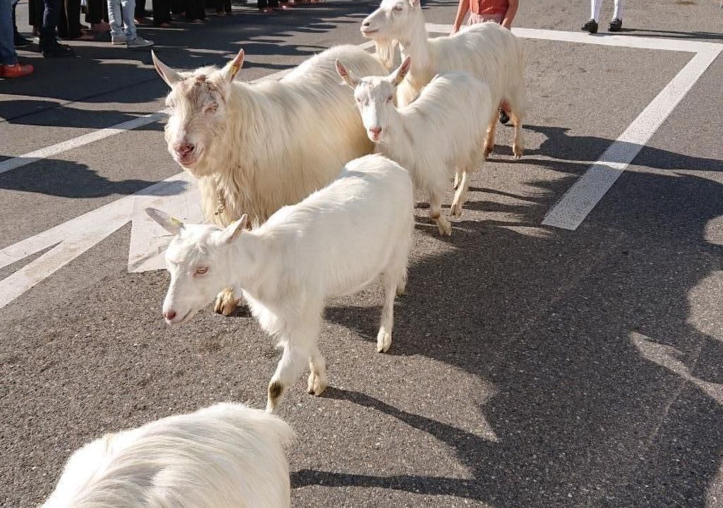 Photo of Others in Hundwil