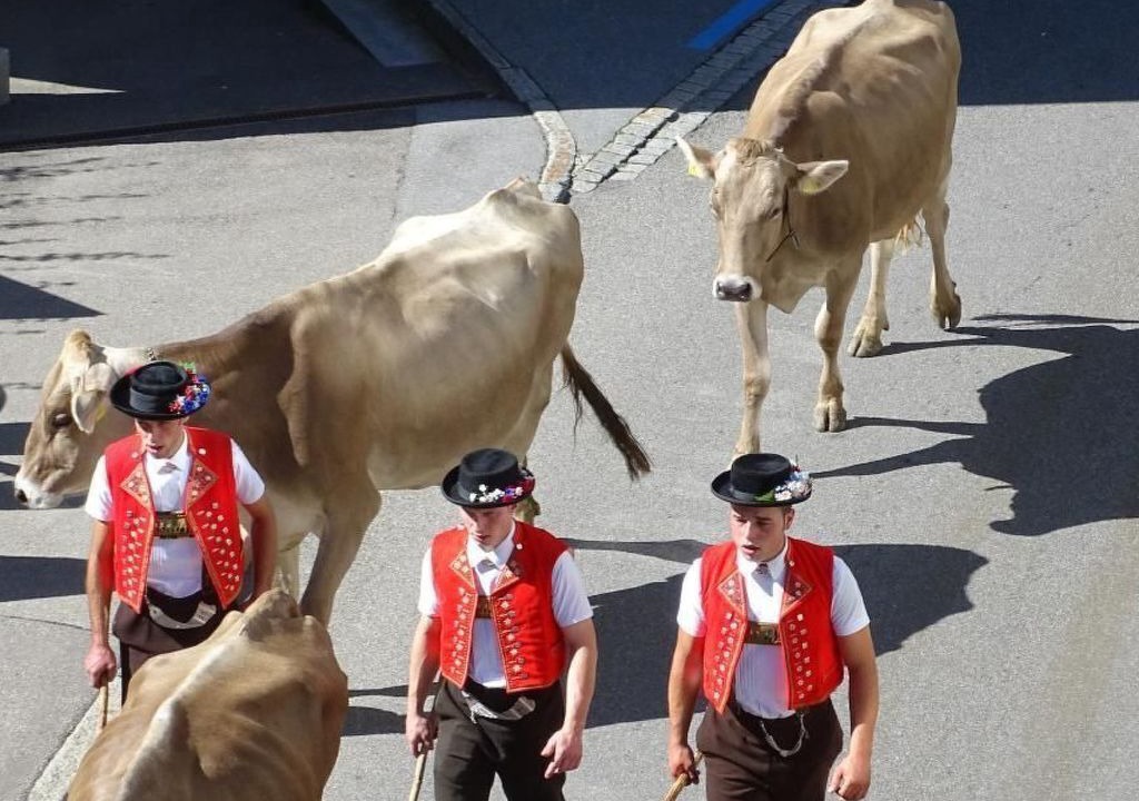 Photo of Others in Hundwil