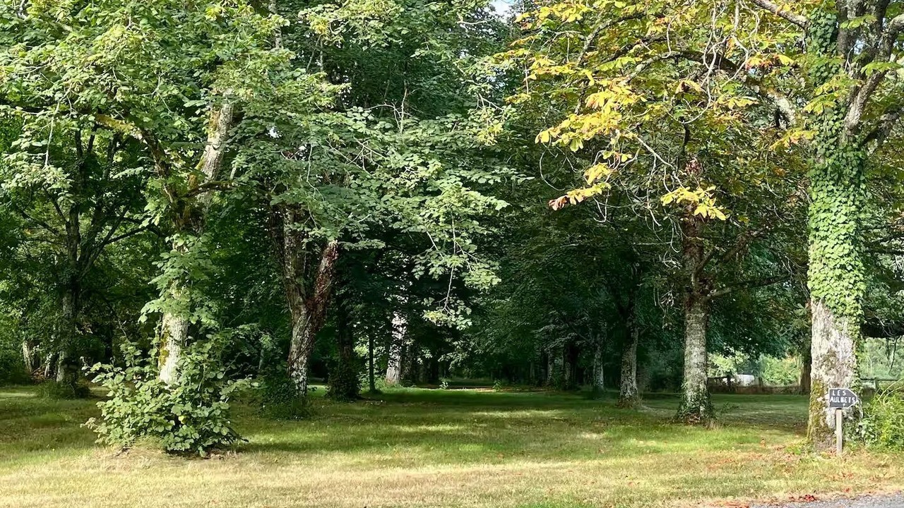 Photo of Others in Sainte-Maure-de-Touraine