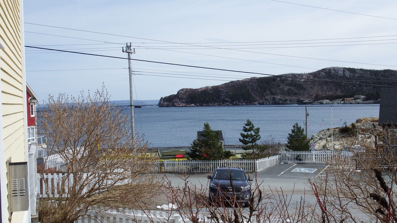 Photo of Outdoor in Brigus