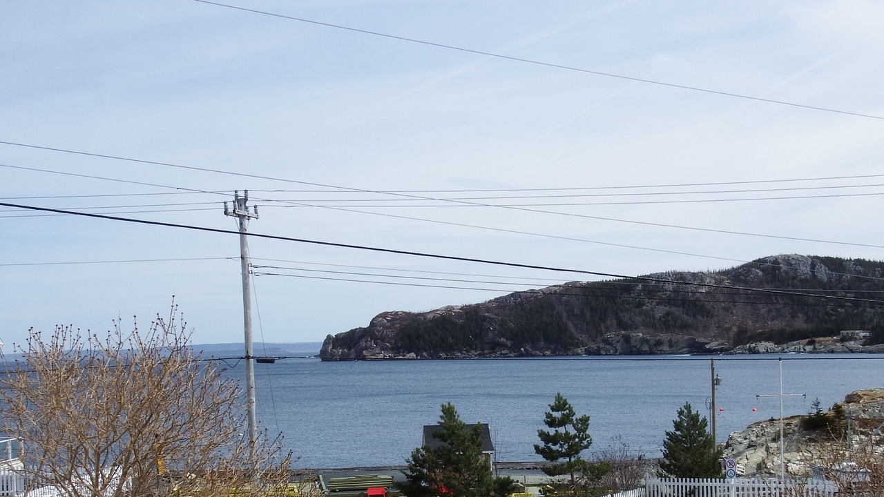 Photo of Others in Brigus