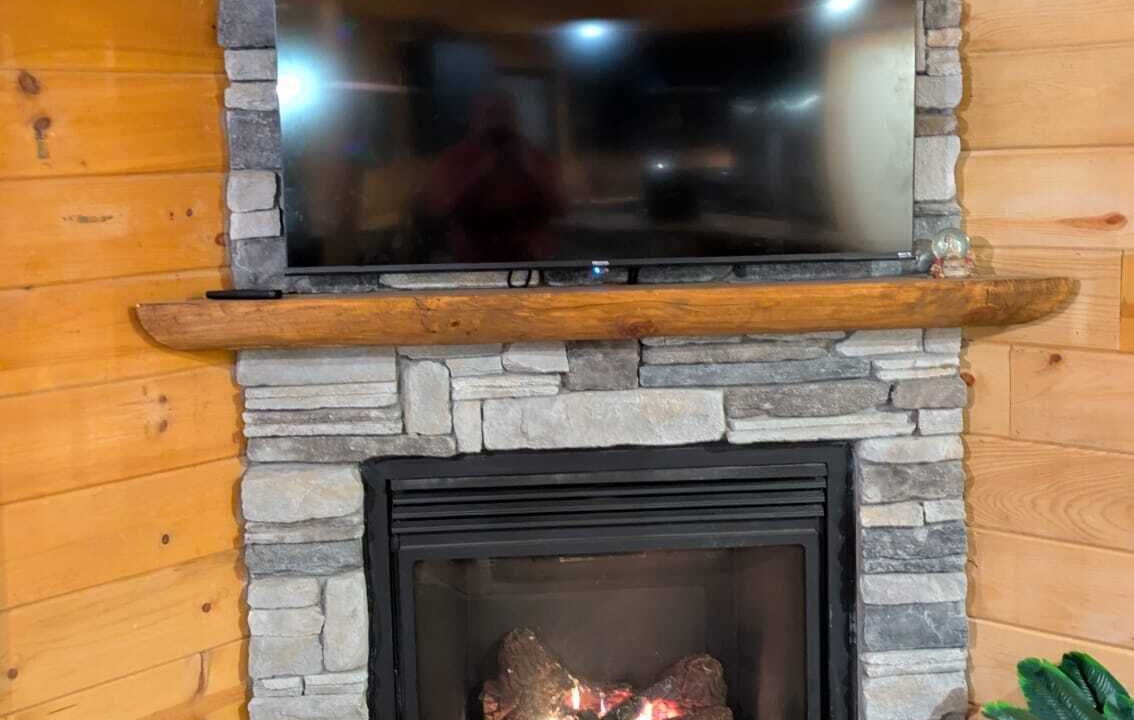 Photo of Others in Cherry Log