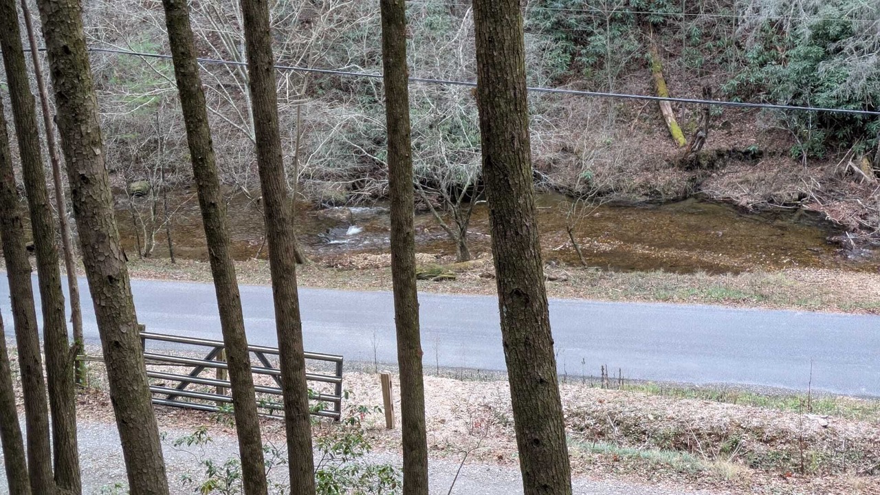 Photo of Others in Cherry Log