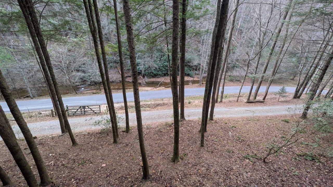 Photo of Others in Cherry Log