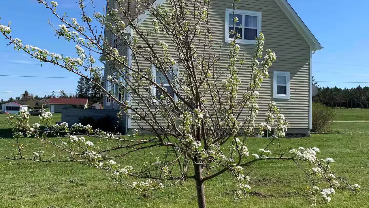 Photo of Outdoor in St-Thomas-de-Kent