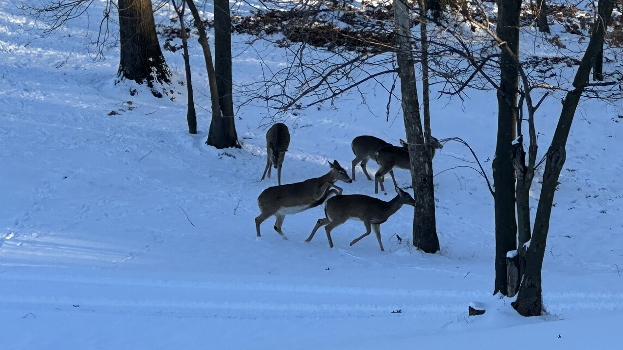 Photo of Others in Waldron