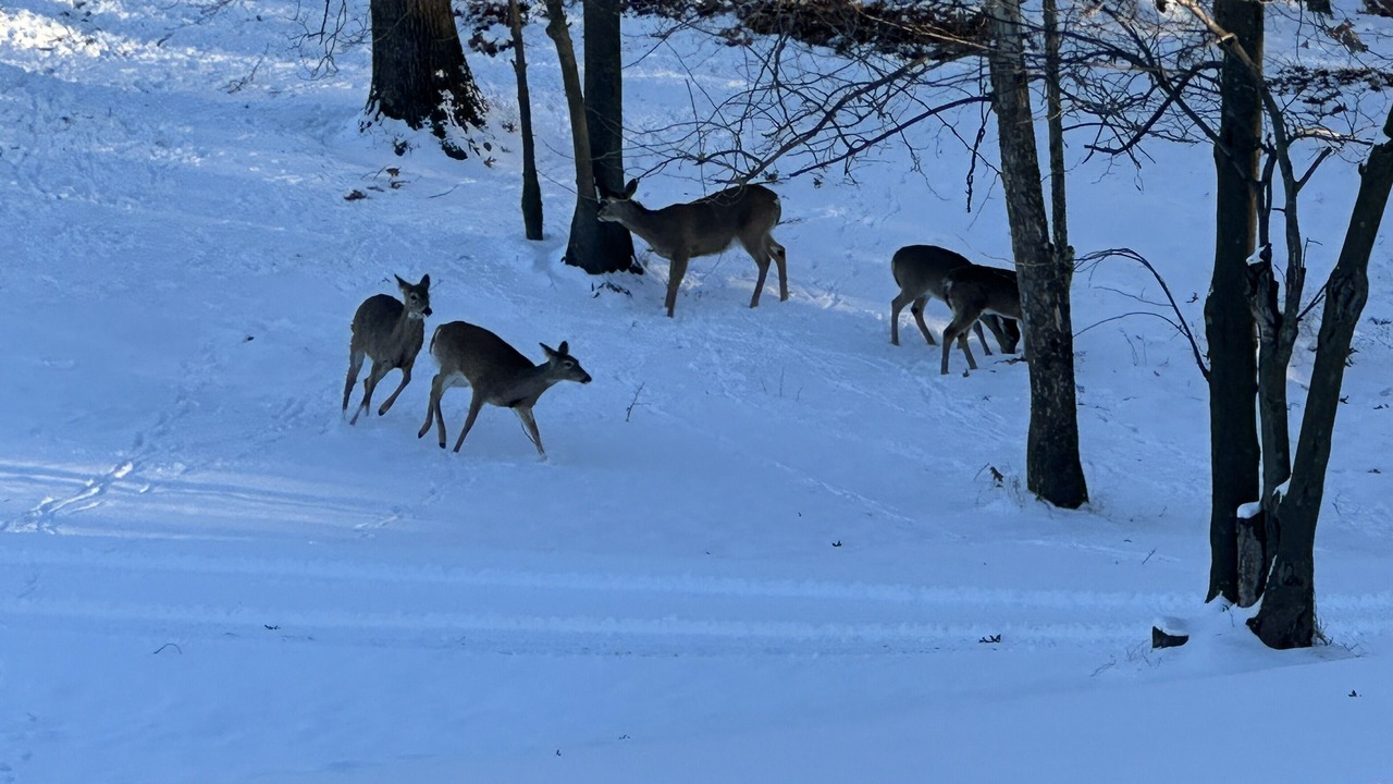 Photo of Others in Waldron