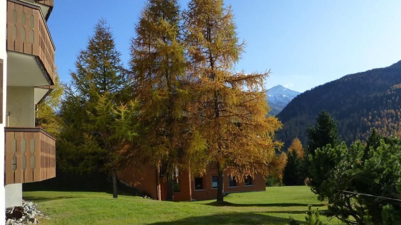 Photo of Others in Pontresina