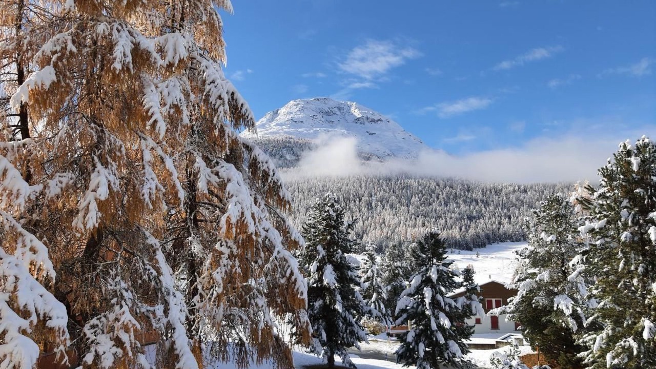 Photo of Others in Pontresina