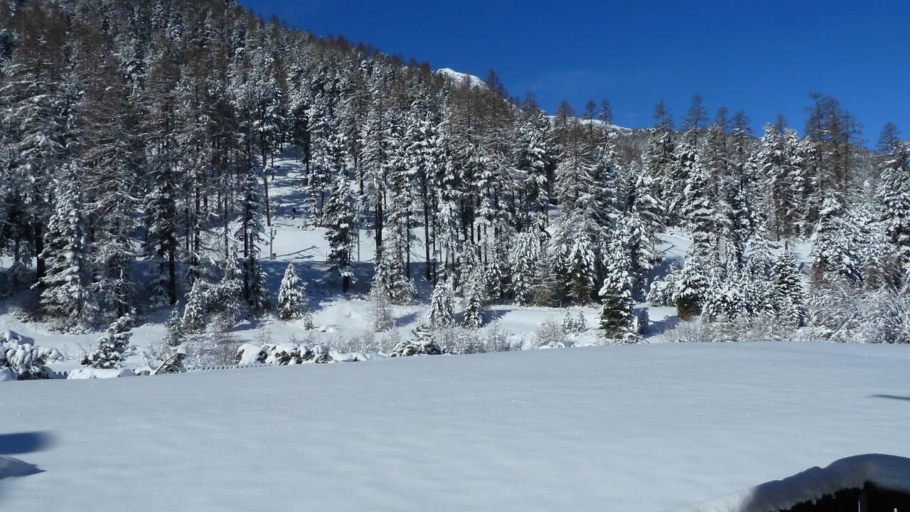 Photo of Others in Pontresina