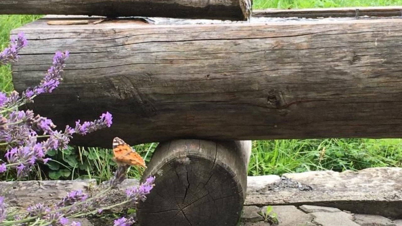 Photo of Others in Grindelwald