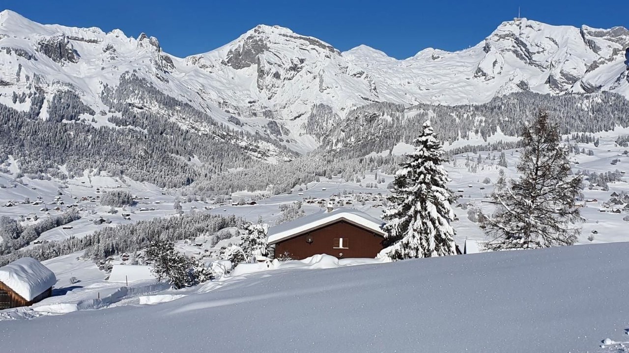 Photo of Others in Wildhaus-Alt St. Johann