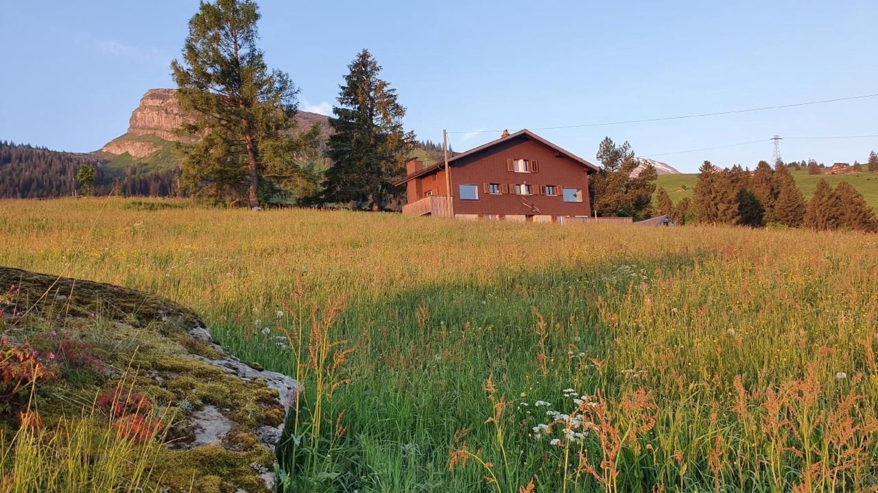 Photo of Others in Wildhaus-Alt St. Johann