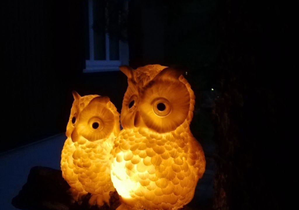 Photo of Others in Alt Sankt Johann