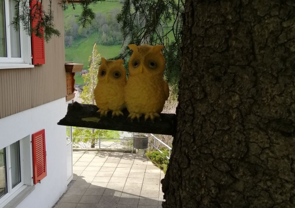 Photo of Others in Alt Sankt Johann