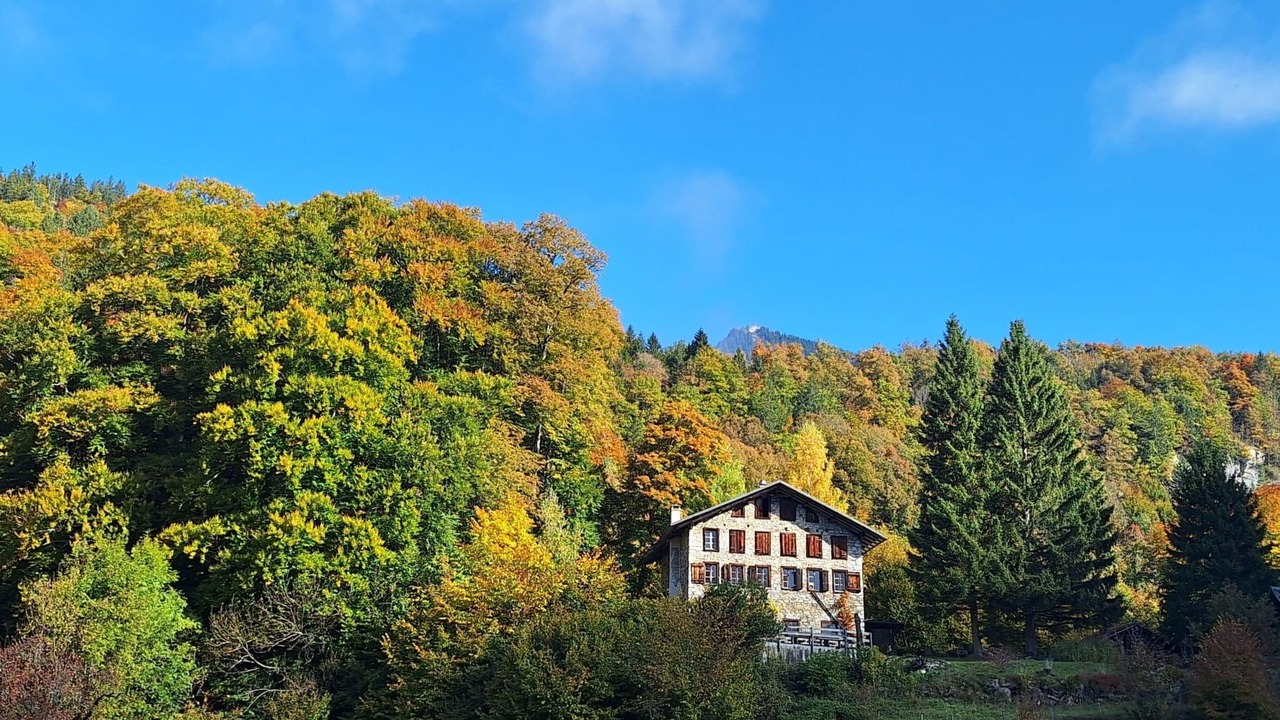 Photo of Others in Reichenbach
