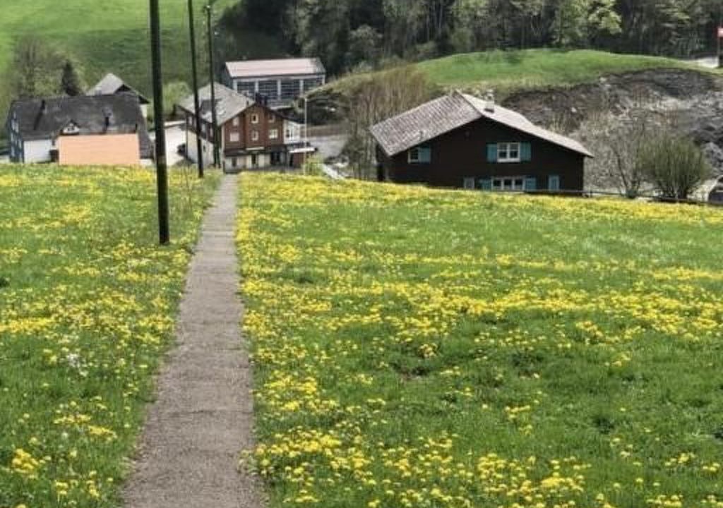 Photo of Outdoor in Wildhaus