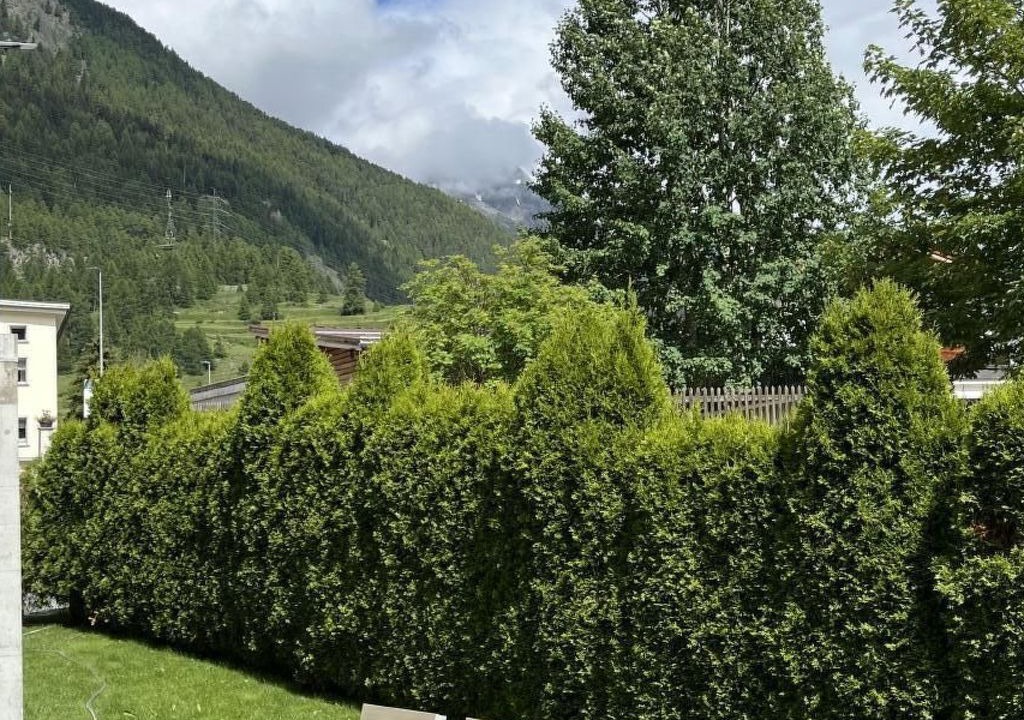 Photo of Others in Zernez