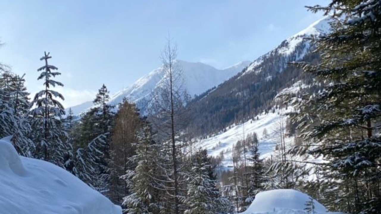 Photo of Others in Zernez