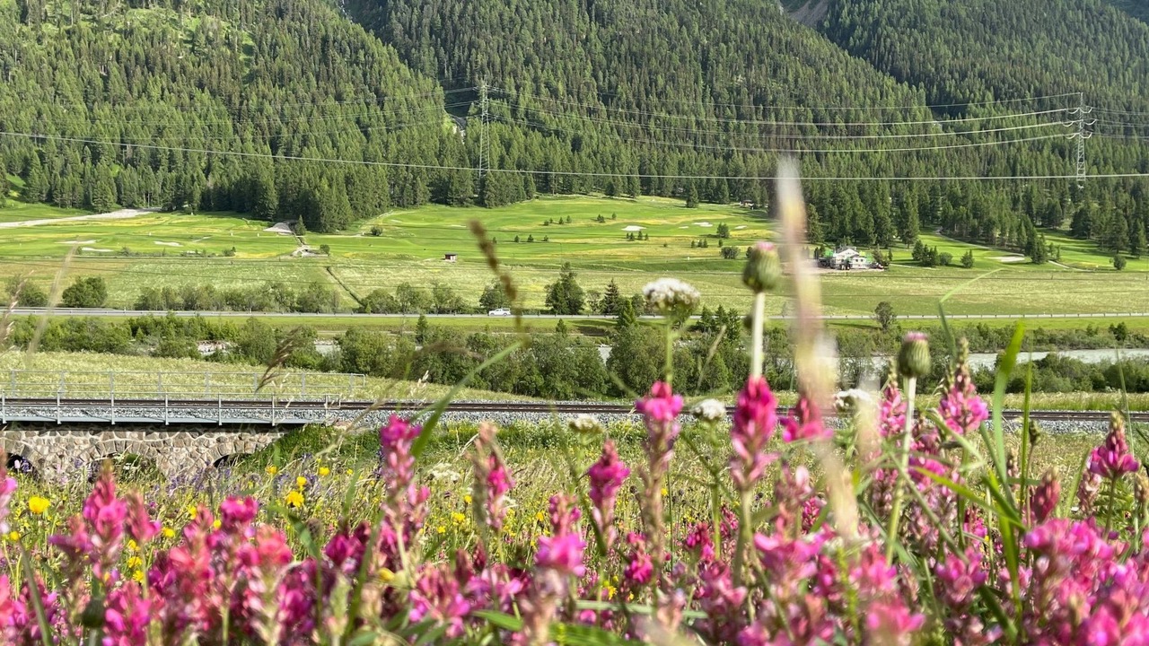 Photo of Others in Zernez