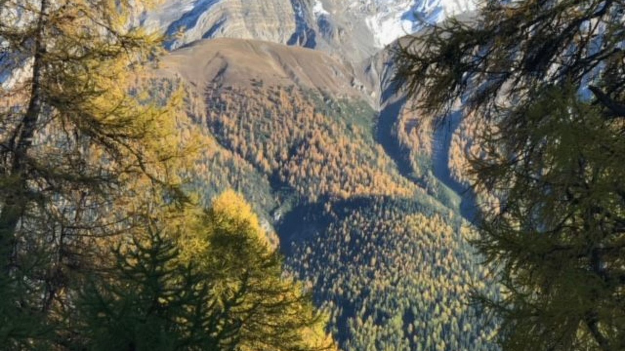 Photo of Others in Zernez