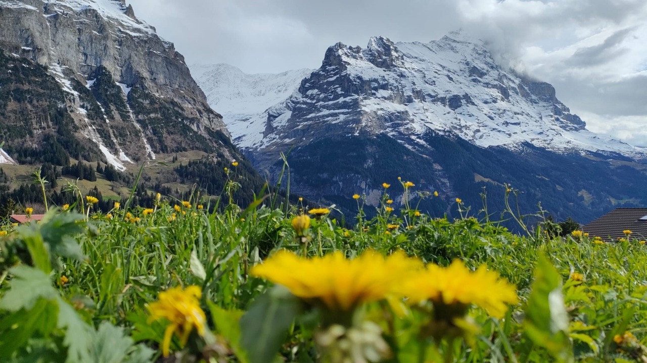 Photo of Others in Grindelwald