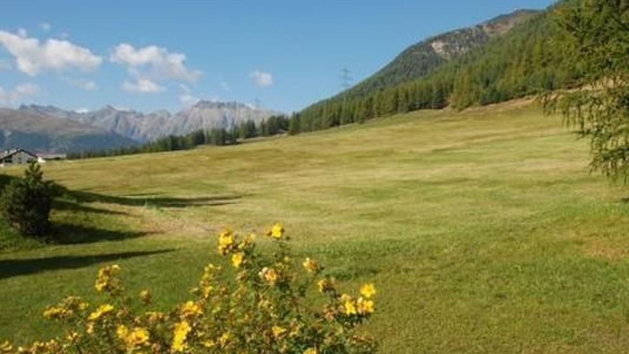Photo of Others in Pontresina