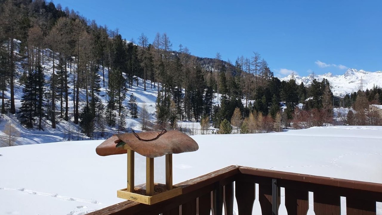 Photo of Outdoor in Pontresina