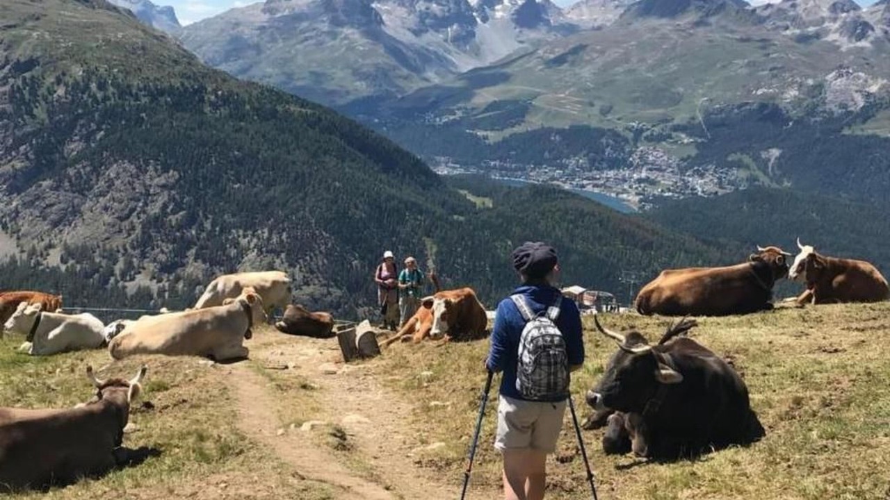 Photo of Others in Pontresina