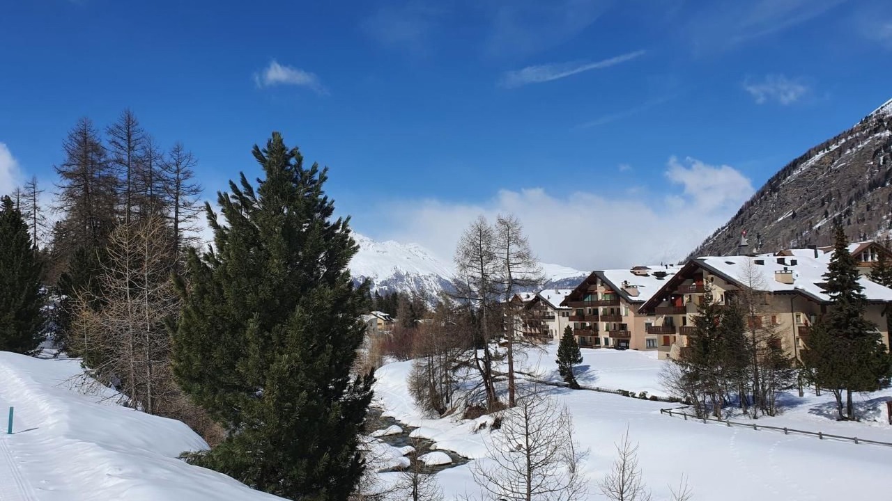 Photo of Others in Pontresina