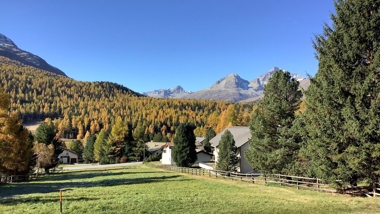Photo of Others in Pontresina