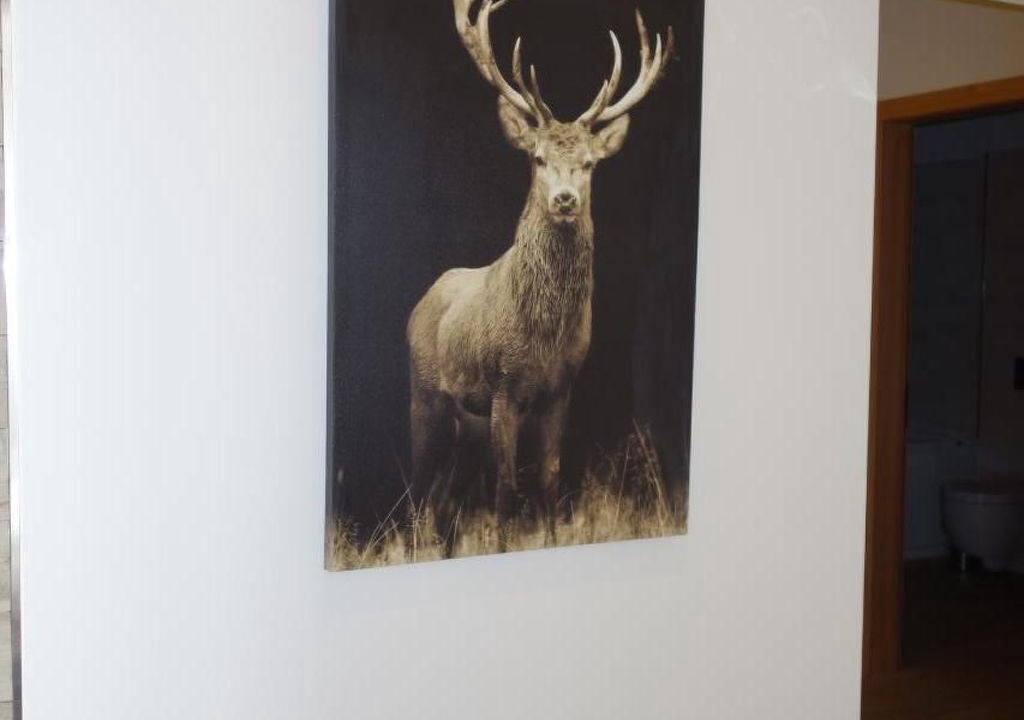 Photo of Others in Pontresina