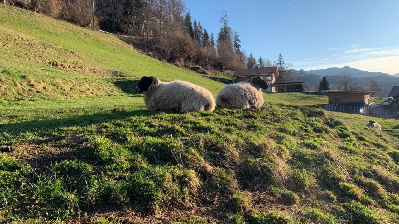 Photo of Others in Sundlauenen
