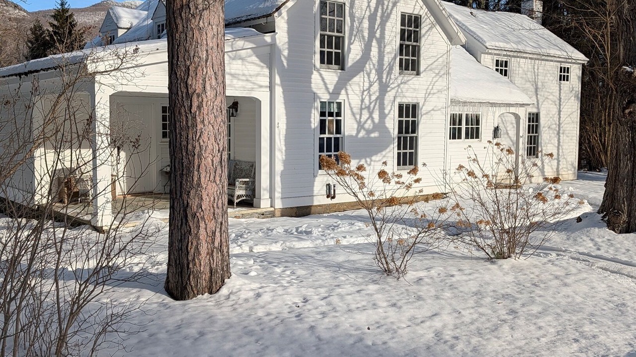 Photo of Others in Dorset