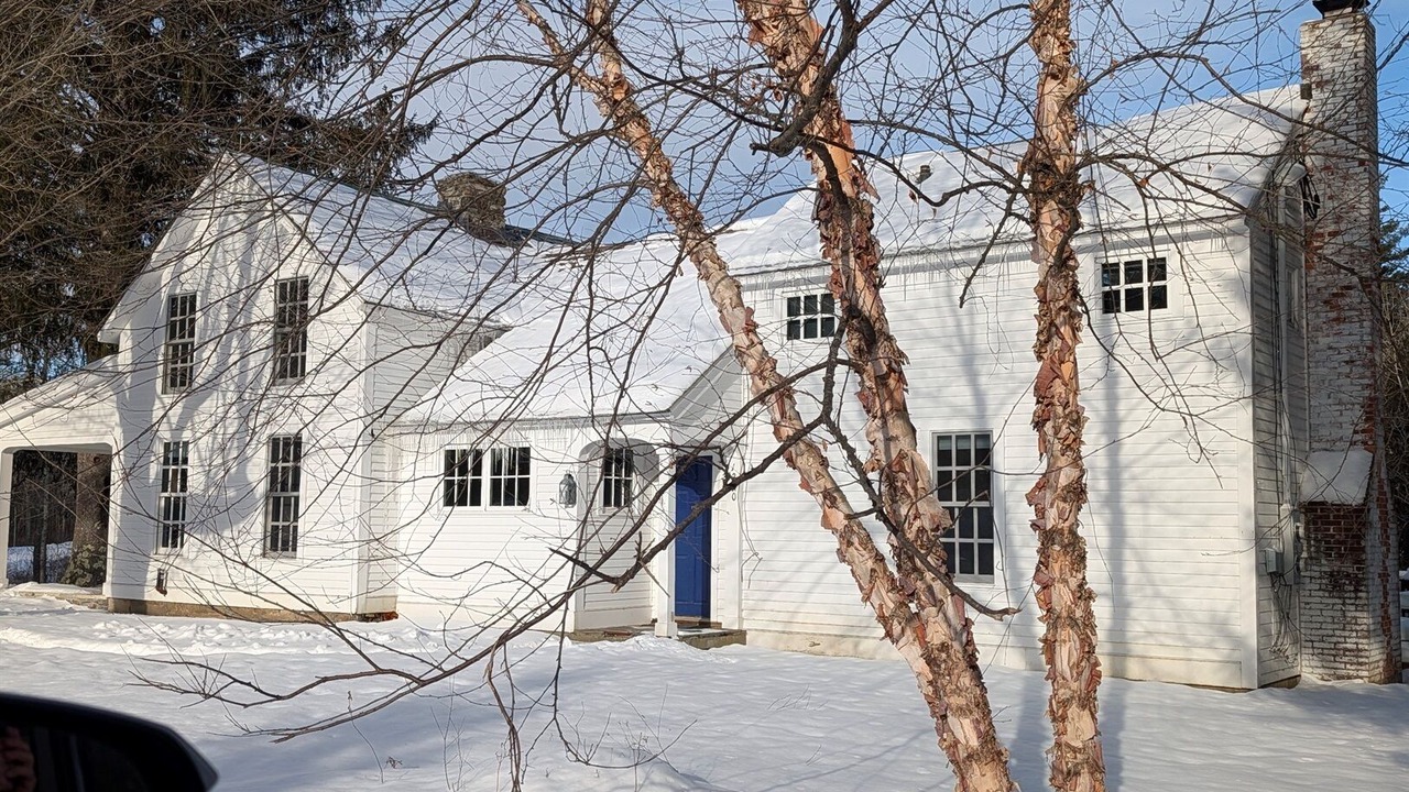 Photo of Others in Dorset